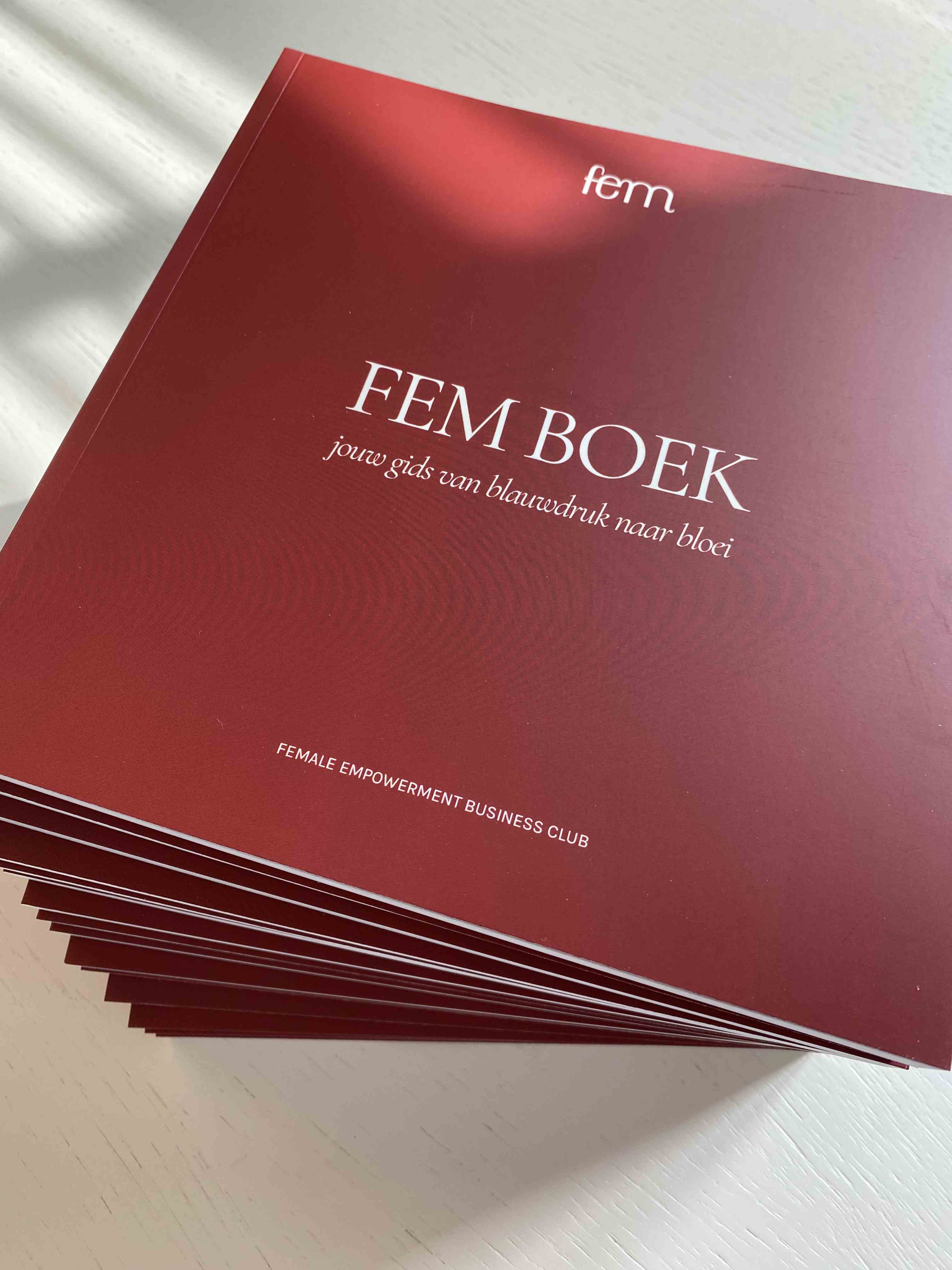 FEM Boek — jouw gids van blauwdruk naar bloei